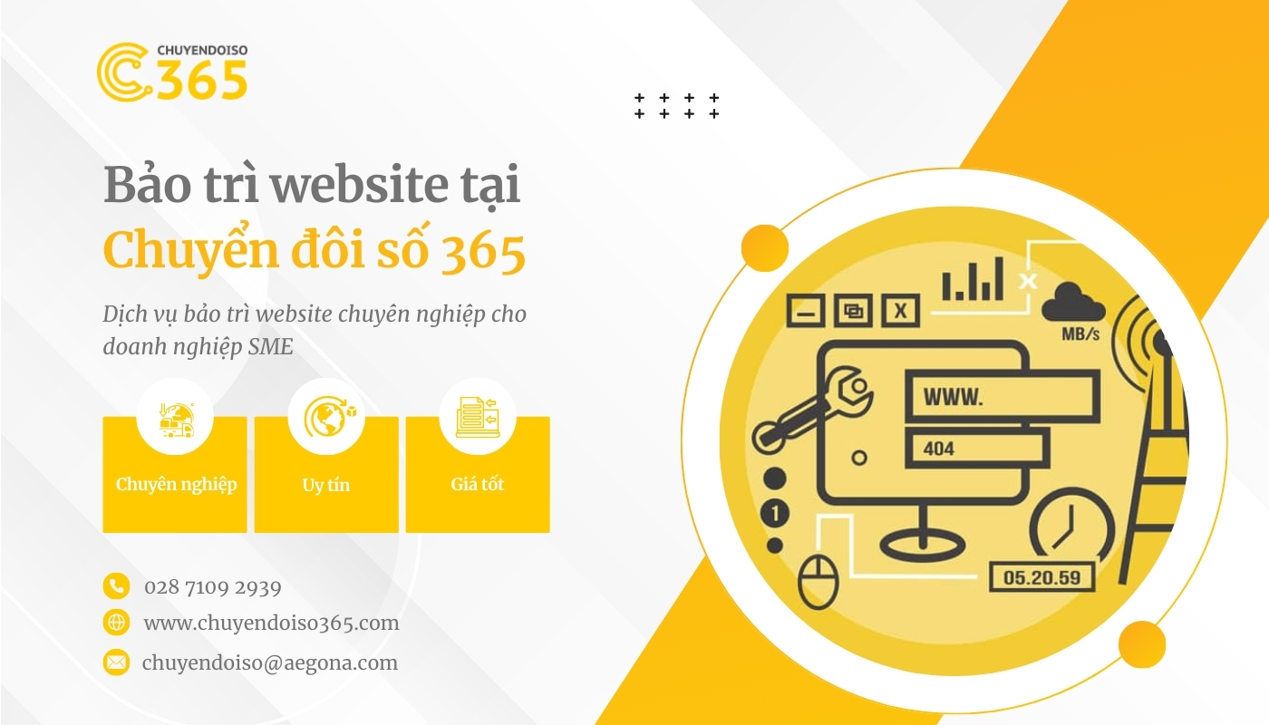 Chuyển đổi số 365 cung cấp dịch vụ bảo trì website chuyên nghiệp